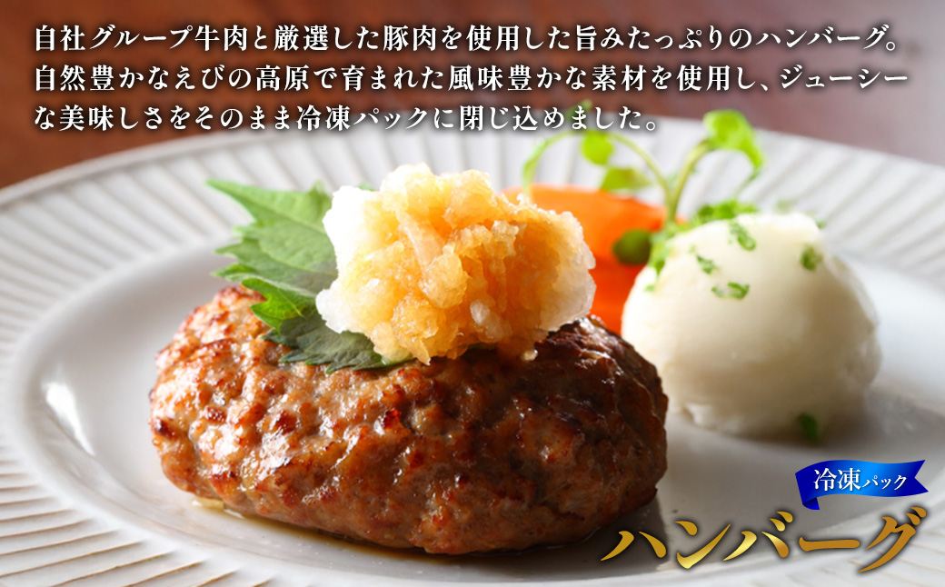 ハンバーグ セット 冷凍(130g × 10パック 計 1,300g)ギフト レンジ 湯煎 温めるだけ 簡単調理 小分け 個包装 総菜 簡単 おかず レトルト 人気 お取り寄せ 九州 宮崎県 えびの市 送料無料