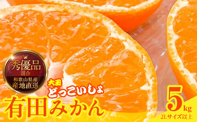 MK1033_みかん 大玉 どっこいしょ 箱込 5kg ( 内容量 4.4kg ) 2Lサイズ以上 秀品 優品 混合 有田みかん 和歌山県産 産地直送 【みかんの会】