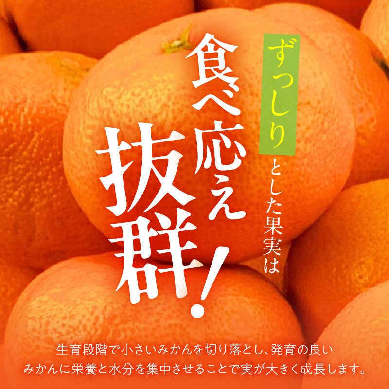 MK1033_みかん 大玉 どっこいしょ 箱込 5kg ( 内容量 4.4kg ) 2Lサイズ以上 秀品 優品 混合 有田みかん 和歌山県産 産地直送 【みかんの会】