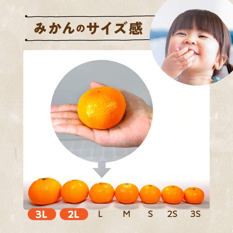 MK1033_みかん 大玉 どっこいしょ 箱込 5kg ( 内容量 4.4kg ) 2Lサイズ以上 秀品 優品 混合 有田みかん 和歌山県産 産地直送 【みかんの会】