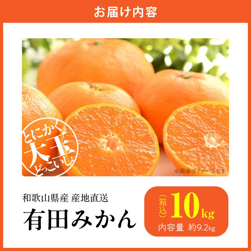 MK1034_みかん 大玉 どっこいしょ 箱込 10kg ( 内容量 9.2kg ) 2Lサイズ以上 秀品 優品 混合 有田みかん 和歌山県産 産地直送 【みかんの会】
