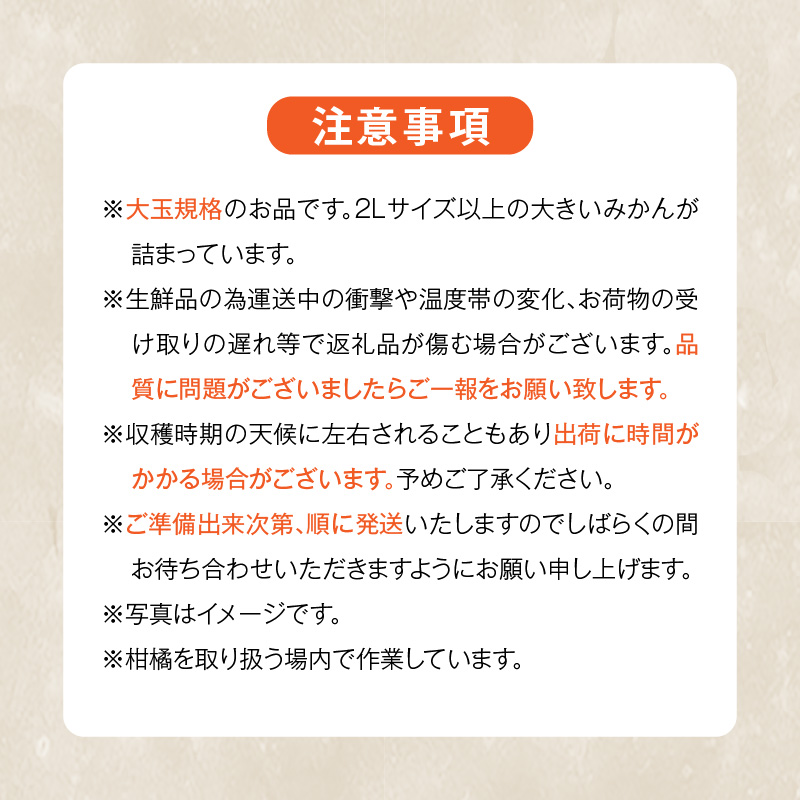 MK1034_みかん 大玉 どっこいしょ 箱込 10kg ( 内容量 9.2kg ) 2Lサイズ以上 秀品 優品 混合 有田みかん 和歌山県産 産地直送 【みかんの会】