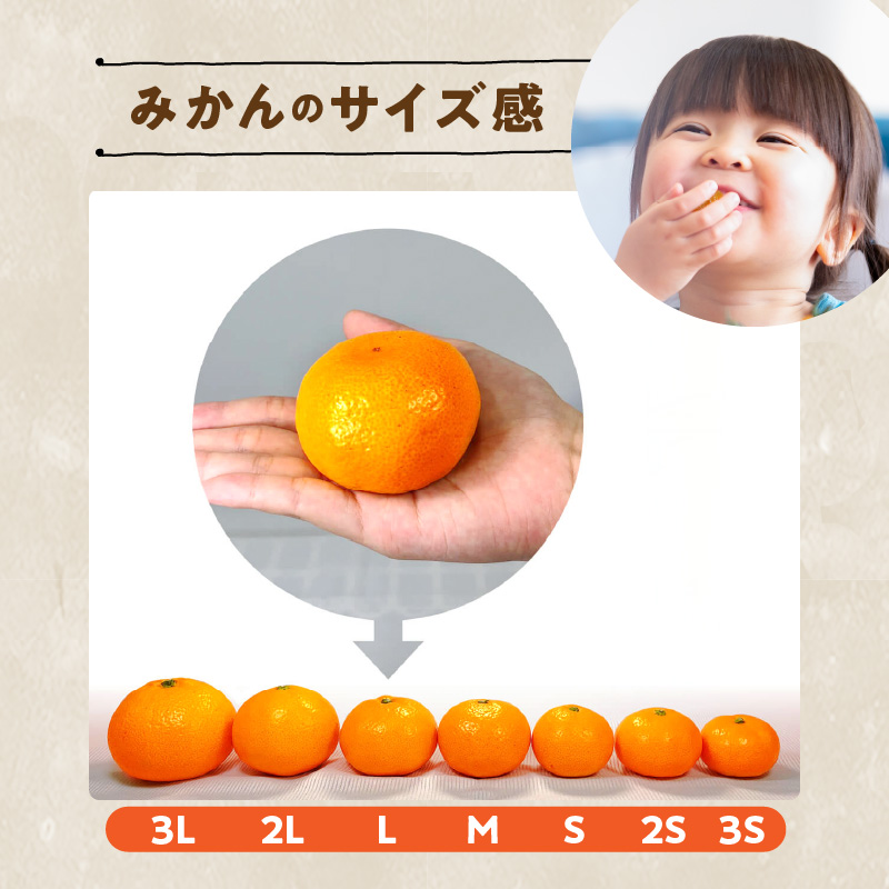 MK1036_訳あり それでも みかん 箱込 10kg ( 内容量 9.2kg ) サイズミックス Ｂ品 有田みかん 和歌山県産 産地直送 家庭用【みかんの会】
