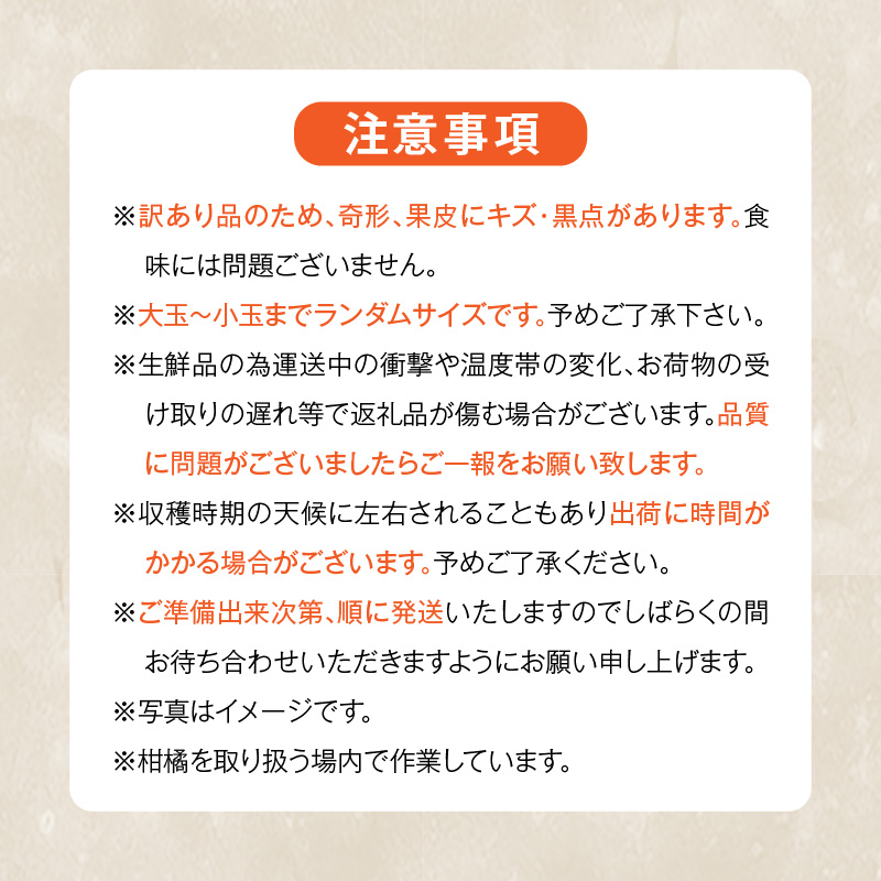 MK1036_訳あり それでも みかん 箱込 10kg ( 内容量 9.2kg ) サイズミックス Ｂ品 有田みかん 和歌山県産 産地直送 家庭用【みかんの会】
