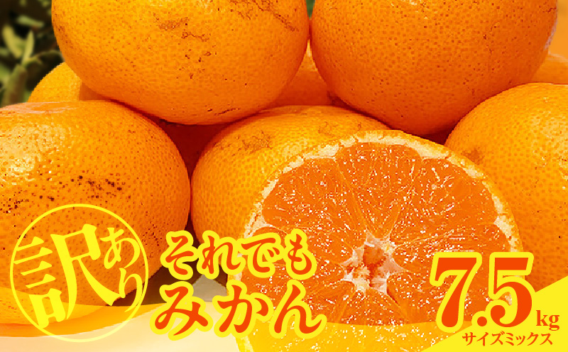 ya̎RLcS󒬁zMK1049_󂠂 ł ݂  7.5kg ( e 6.8kg ) TCY~bNX ai Lc݂ a̎RY Yn ƒpỷ݂z