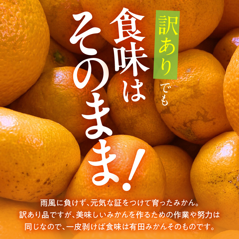 MK1049_訳あり それでも みかん 箱込 7.5kg ( 内容量 6.8kg ) サイズミックス Ｂ品 有田みかん 和歌山県産 産地直送 家庭用【みかんの会】