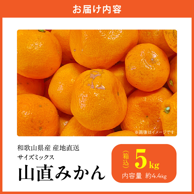 MK1038_みかん 山から直送 箱込 5kg ( 内容量 4.4kg ) 鮮度優先ごろごろ規格 和歌山県産 産地直送 家庭用 【みかんの会】