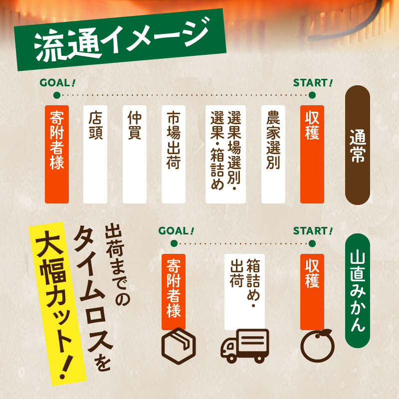 MK1039_みかん 山から直送 箱込 10kg ( 内容量 9.2kg ) 鮮度優先ごろごろ規格 和歌山県産 産地直送 家庭用 【みかんの会】