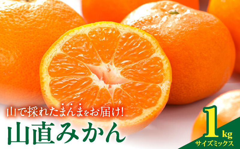 MK1050_みかん 山から直送 箱込 1kg ( 内容量 0.9kg ) 鮮度優先ごろごろ規格 和歌山県産 産地直送 【みかんの会】