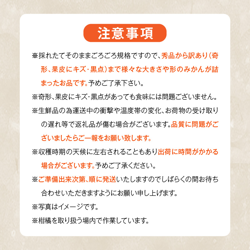 MK1051_みかん 山から直送 箱込 7.5kg ( 内容量 6.8kg ) 鮮度優先ごろごろ規格 和歌山県産 産地直送 【みかんの会】