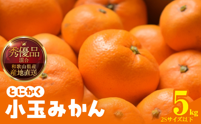 MK1040_【2025年先行予約】みかん