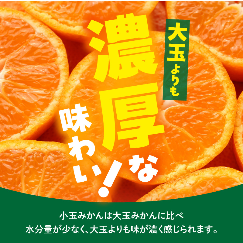 MK1040_みかん とにかく 小玉 箱込 5kg ( 内容量 4.4kg ) 2Sサイズ以下 秀品 優品 混合 有田みかん 和歌山県産 産地直送 【みかんの会】