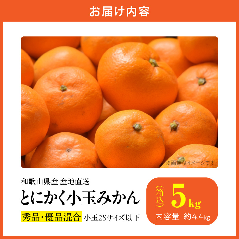 MK1040_みかん とにかく 小玉 箱込 5kg ( 内容量 4.4kg ) 2Sサイズ以下 秀品 優品 混合 有田みかん 和歌山県産 産地直送 【みかんの会】