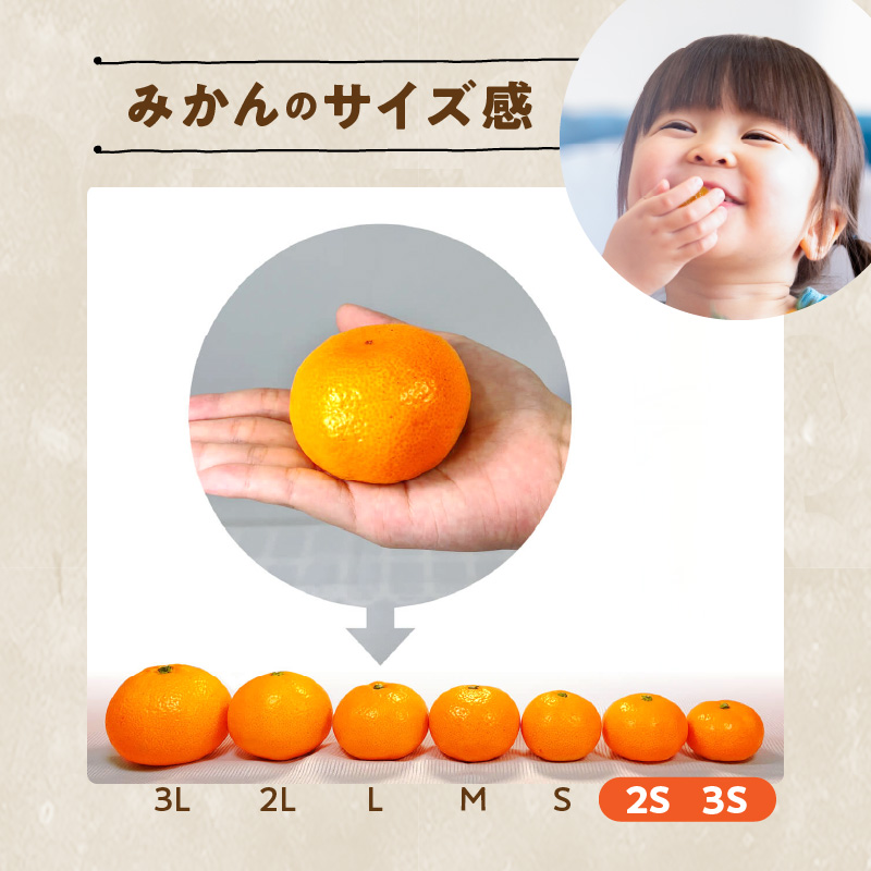 MK1052_みかん とにかく 小玉 箱込 7.5kg ( 内容量 6.8kg ) 2Sサイズ以下 秀品 優品 混合 有田みかん 和歌山県産 産地直送 【みかんの会】