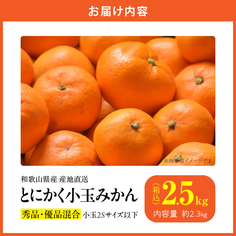 MK1000_みかん とにかく 小玉 箱込 2.5kg ( 内容量 2.3kg ) 2Sサイズ以下 秀品 優品 混合 有田みかん 和歌山県産 産地直送 【みかんの会】