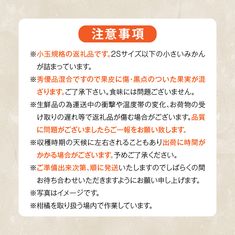MK1000_みかん とにかく 小玉 箱込 2.5kg ( 内容量 2.3kg ) 2Sサイズ以下 秀品 優品 混合 有田みかん 和歌山県産 産地直送 【みかんの会】