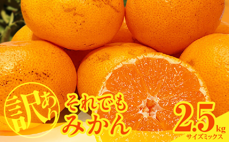 ZC6020_Y_【直営限定】和歌山県 角長卓上用生醤油3本セット(濁り