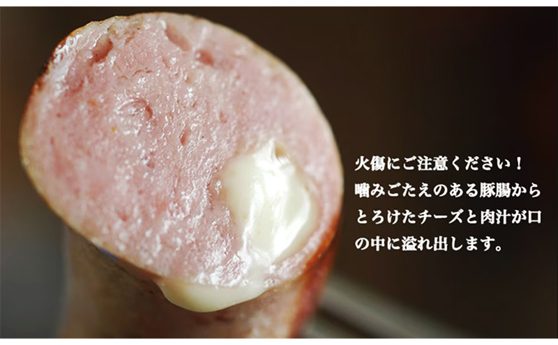 フランクフルト（カマンベールチーズ入）約1.2kg　冷凍　食品 加工肉 豚肉 ソーセージ フランクフルト 天然豚腸 手作り 国内産 チーズ カマンベール チェダー おつまみ