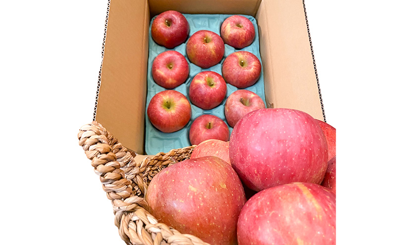 今日を癒すひと玉 私のサンふじ　サンふじ　家庭用　10kg りんご 果物