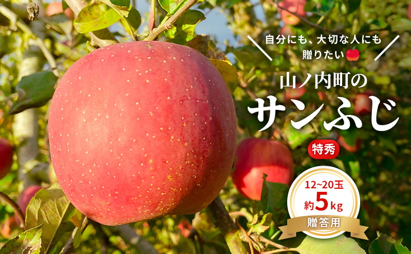 贈りたい味、笑顔届ける　 山ノ内育ちのりんご　サンふじ　贈答用　特秀5kg りんご 果物