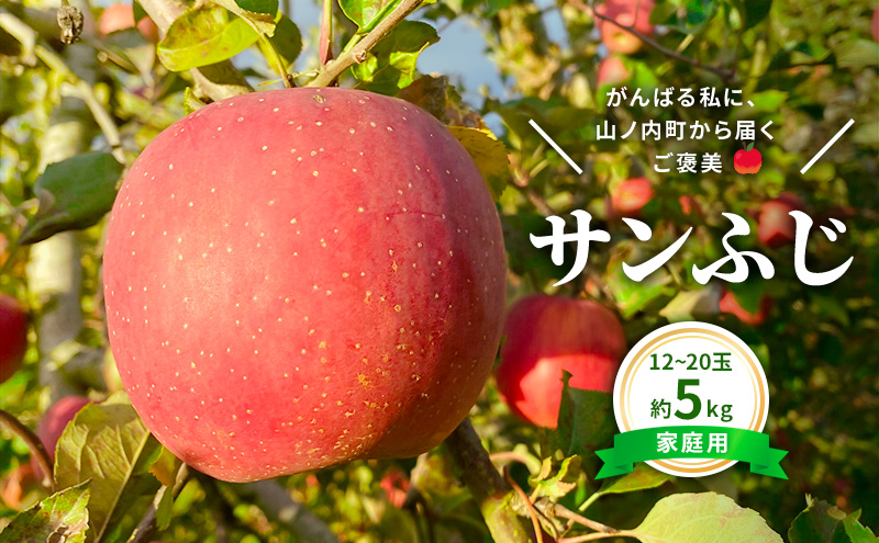 【長野県山ノ内町】今日を癒すひと玉 私のサンふじ サンふじ 家庭用 5kg りんご 果物