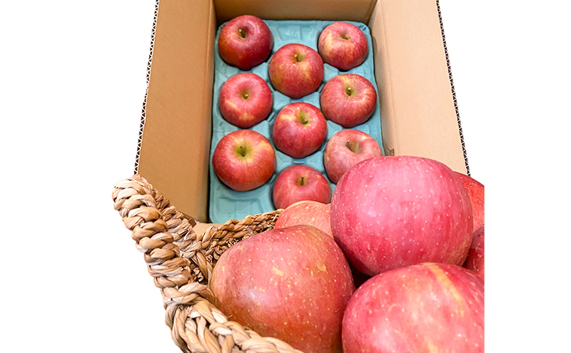 今日を癒すひと玉 私のサンふじ　サンふじ　家庭用　5kg りんご 果物