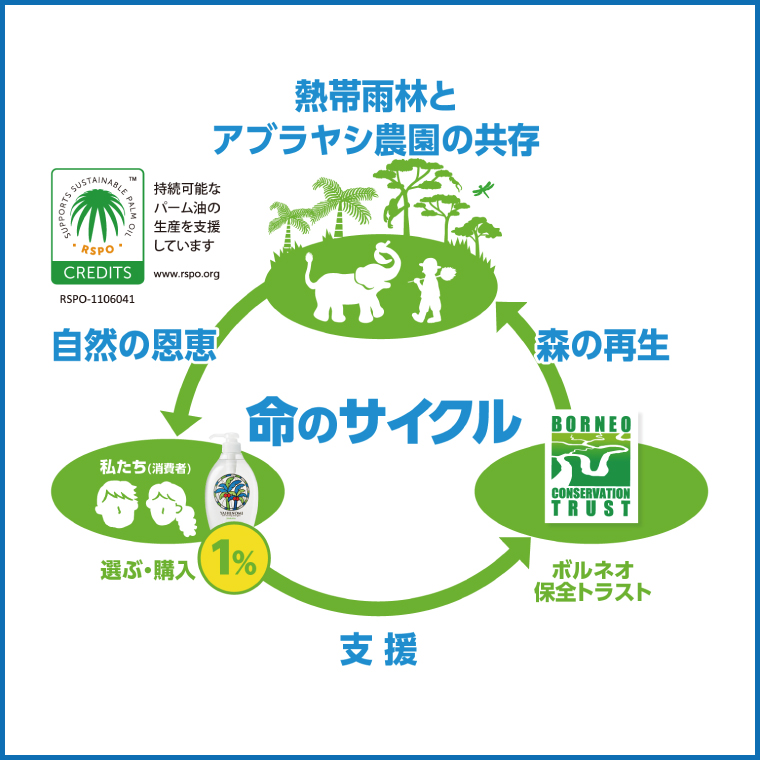 【3ヶ月定期便】ヤシノミ洗剤1000ｍL詰替用　1ケース（8本入）×3回【30970】【サラヤ SARAYA 天然素材 食器 野菜 洗剤 食器用洗剤 ヤシノミ洗剤 食器用 中性洗剤 キッチン洗剤 台所洗剤 無添加 無香料 saraya 茨城県 北茨城市】(CL157)