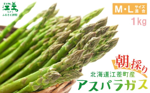 [夏芽 順次出荷中]2025年 北海道江差町産 アスパラガス[M〜Lサイズ] 1kg 30〜40本 朝採り 農家直送 新鮮 鮮度保持 北海道 旬野菜 グリーンアスパラ アスパラガス ギフト 贈答