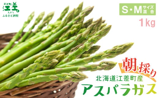 【夏芽 順次出荷中】2025年 北海道江差