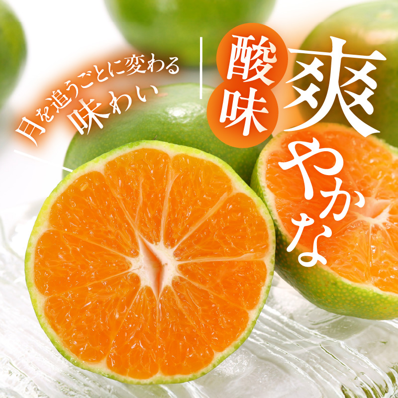 MK1079_【2026年先行予約】みかん 極早生 山から直送 箱込 7.5kg ( 内容量 6.8kg ) 採れたてそのままごろごろ規格 有田みかん 和歌山県産