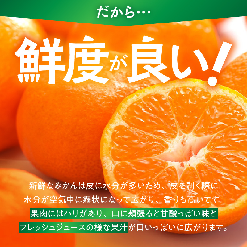 MK1078_【2026年先行予約】みかん 極早生 山から直送 箱込 10kg ( 内容量 9.2kg ) 採れたてそのままごろごろ規格 有田みかん 和歌山県産