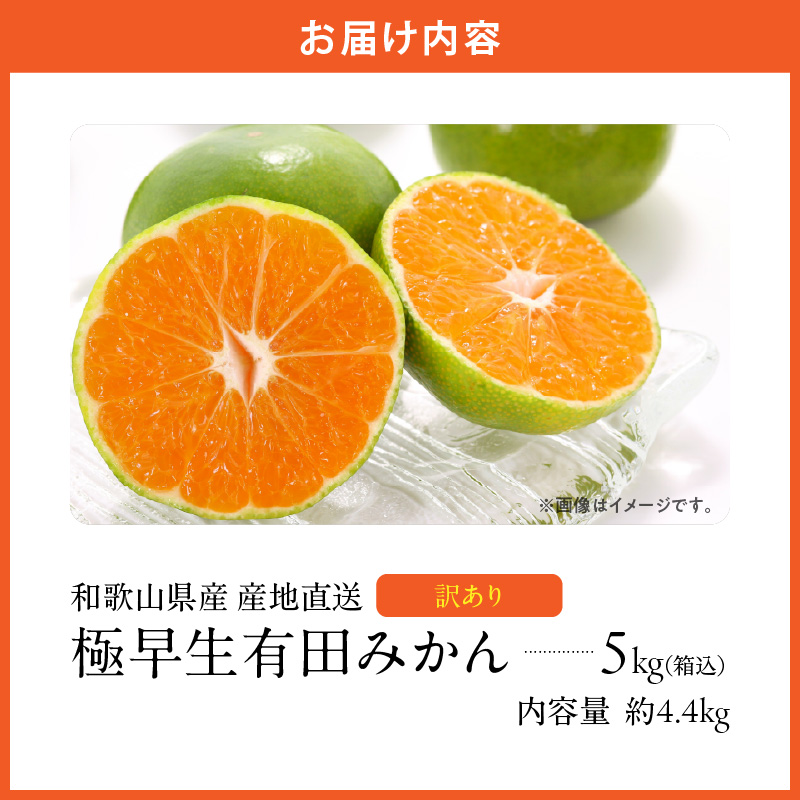 MK1084_【2026年先行予約】訳あり みかん 極早生 箱込 5kg ( 内容量 4.4kg ) サイズミックス 有田みかん 和歌山県産