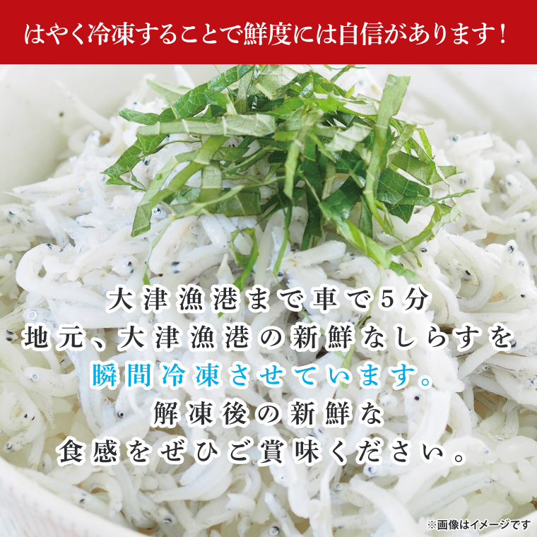 【訳あり】瞬間冷結！刺身用生しらす【大津港産】（AA212）