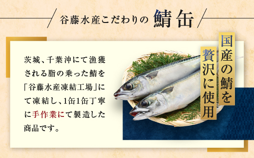 茨城県大洗町のふるさと納税 さば缶詰 水煮 190g 24缶 セット （2026年2月以降発送） 常温 常温保存 国産 鯖 サバ 缶詰 さば缶 サバ缶 鯖缶 缶詰め かんづめ 保存食 非常食 長期保存 長期保管 備蓄 魚介 魚介類 冷凍 簡単調理 簡単料理 おかず