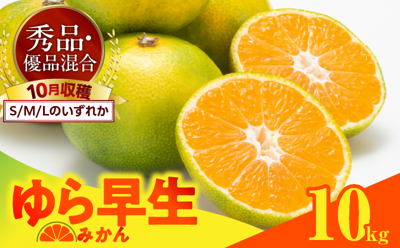 【和歌山県有田郡湯浅町】MK1054_ゆら早生 みかん 箱込 10kg ( 内容量 9.2kg ) S M Lサイズのいずれか 秀品 優品 混合 有田みかん 和歌山県産