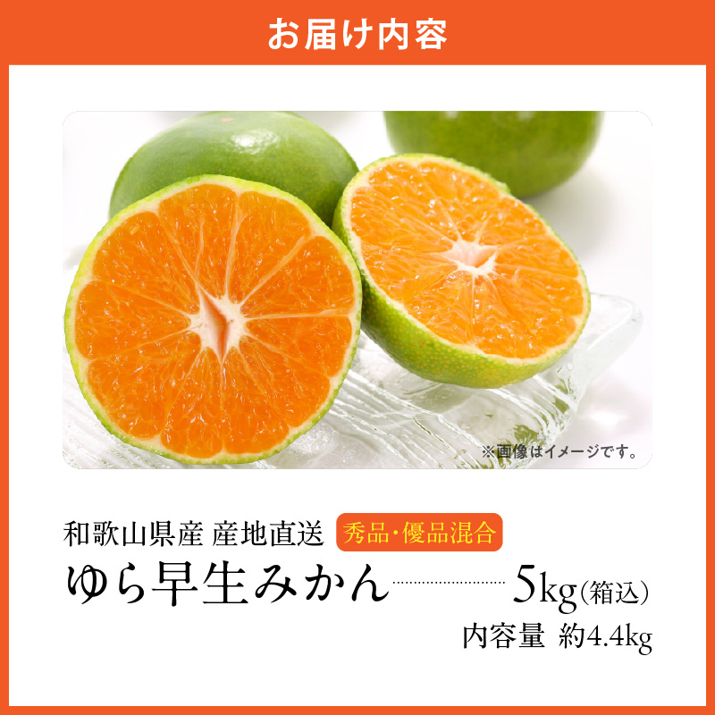 MK1056_【2026先行予約】ゆら早生 みかん 箱込 5kg ( 内容量 4.4kg ) S M Lサイズのいずれか 秀品 優品 混合 有田みかん 和歌山県産