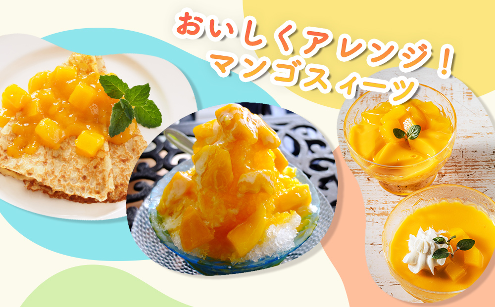 ハナトフルーツ 沖縄県産マンゴーA品 １ｋｇ【 先行予約 2026年発送 】