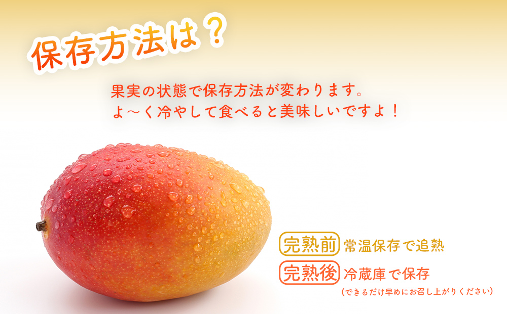 ハナトフルーツ 沖縄県産マンゴーA品 ２ｋｇ  【先行予約 2026年発送 】