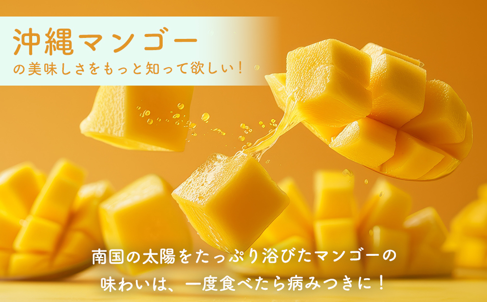 ハナトフルーツ 沖縄県産 訳ありマンゴー２ｋｇ 【 先行予約 2026年発送 】