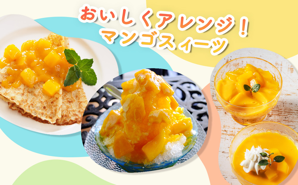 ハナトフルーツ 沖縄県産 訳ありマンゴー２ｋｇ 【 先行予約 2026年発送 】