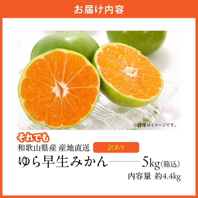 MK1068_【2026先行予約】訳あり ゆら早生 みかん 箱込 5kg ( 内容量 4.4kg ) サイズミックス 有田みかん 和歌山県産
