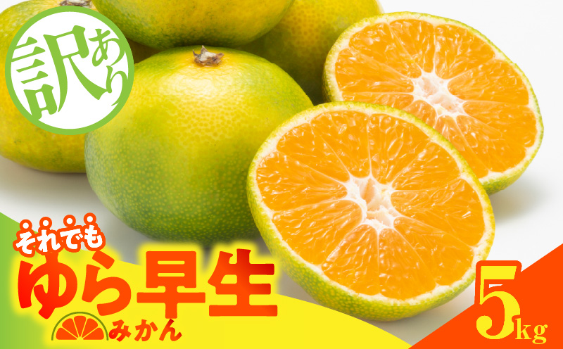 専用♥お年玉超超特価❤みかん❤トロトロ暖か⭐特大ブランケット☆Ｗボアケット♥ DZ6220_【2025年先行予約】家庭用 有田みかん 和歌山 小玉(2S,3S