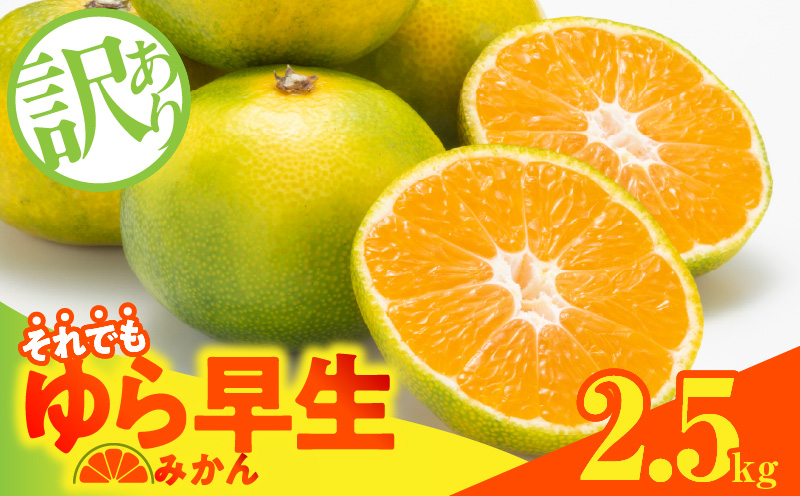 【和歌山県有田郡湯浅町】MK1069_訳あり ゆら早生 みかん 箱込 2.5kg ( 内容量 2.3kg ) サイズミックス 有田みかん 和歌山県産