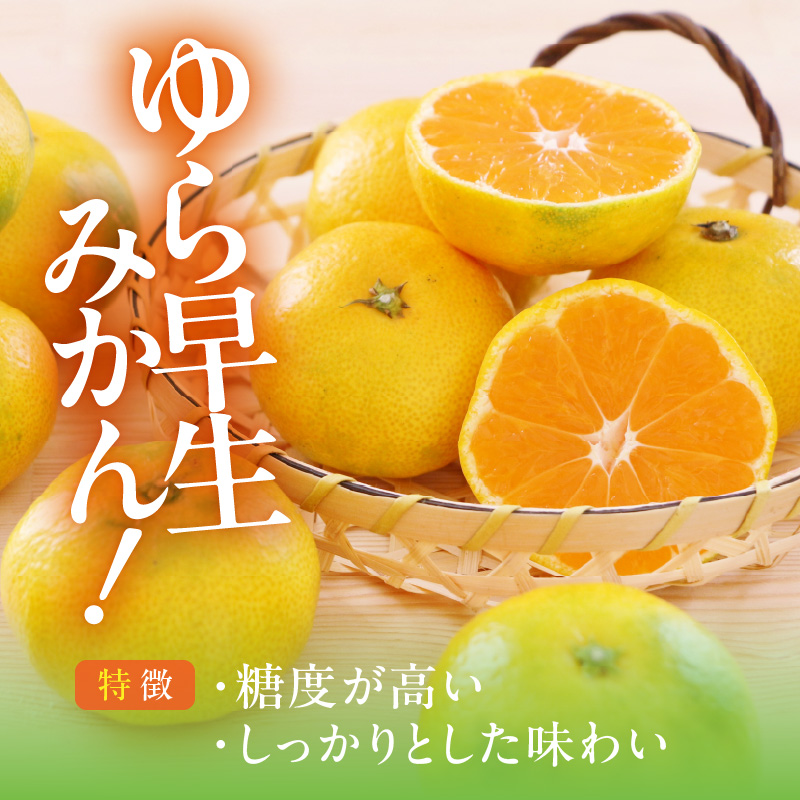 MK1069_【2026先行予約】訳あり ゆら早生 みかん 箱込 2.5kg ( 内容量 2.3kg ) サイズミックス 有田みかん 和歌山県産