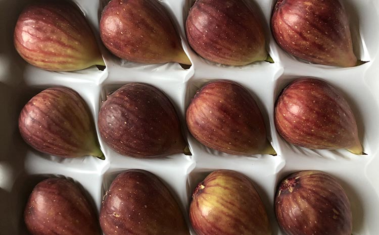 【先行予約】[ハウス栽培]  樹上完熟 いちじく 12玉入り｜イチジク  無花果 果物 くだもの 和歌山県産