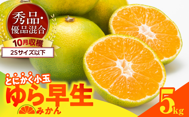 ya̎RLcS󒬁zMK1060_瑁 ݂ Ƃɂ  5kg ( e4.4kg ) 2STCYȉ GD Lc݂ a̎RY