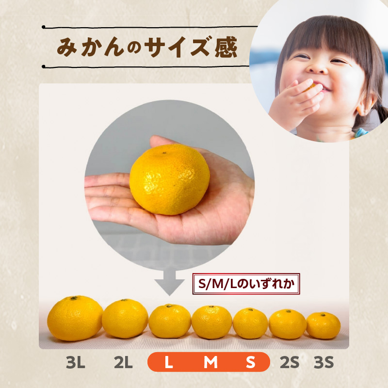 MK1071_【2026年先行予約】みかん 極早生 箱込 7.5kg ( 内容量6.8kg ) おまかせサイズ（S/M/L）秀品・優品 の混合 有田みかん 和歌山県産