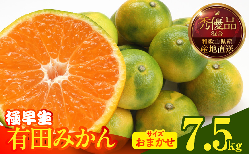 直営限定】【2027年先行予約】初夏のみかん なつみ 7.5kg【家庭用 訳