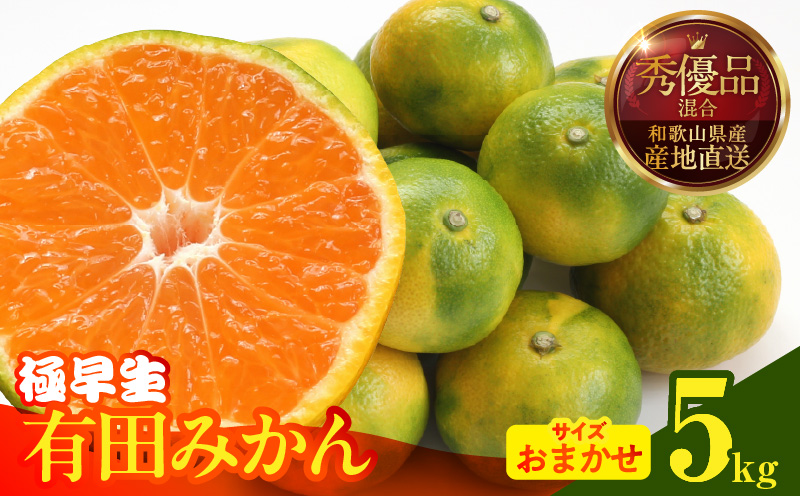 MK1072_【2026年先行予約】みかん 極早生 箱込 5kg ( 内容量4.4kg ) おまかせサイズ（S/M/L）秀品・優品 の混合 有田みかん 和歌山県産