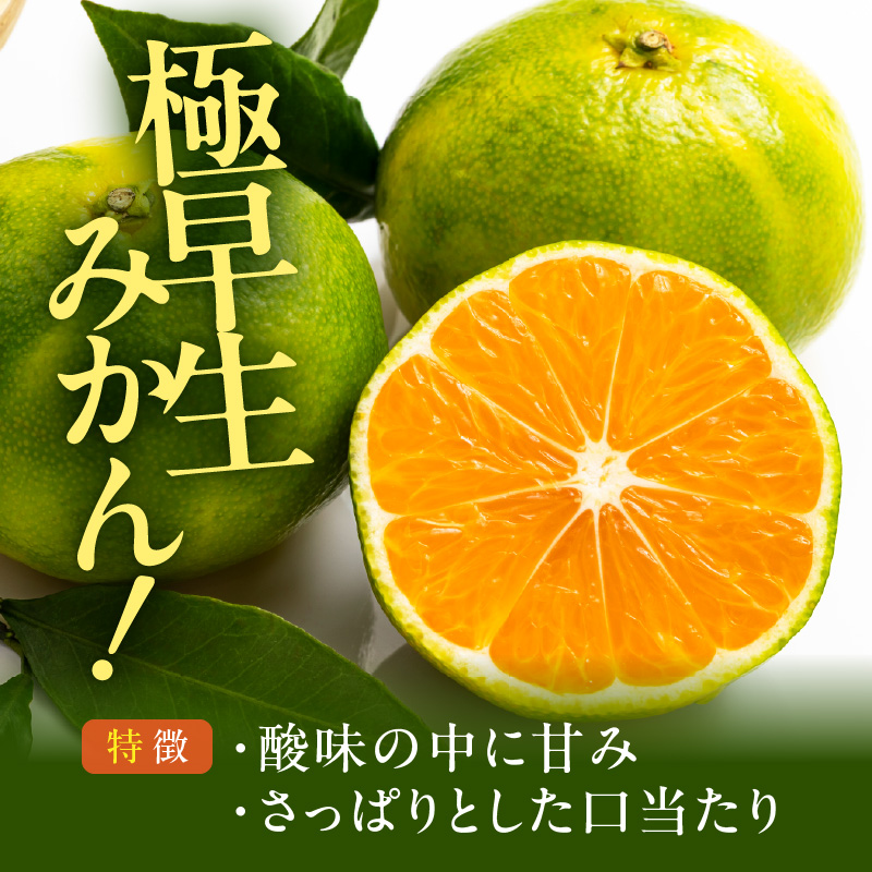 MK1072_【2026年先行予約】みかん 極早生 箱込 5kg ( 内容量4.4kg ) おまかせサイズ（S/M/L）秀品・優品 の混合 有田みかん 和歌山県産